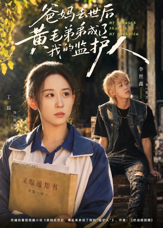 爸妈去世后黄毛弟弟成了我的监护人-家庭情感